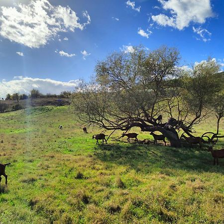 Agriturismo Podere Le Fornaci Греве-ин-Кьянти Экстерьер фото
