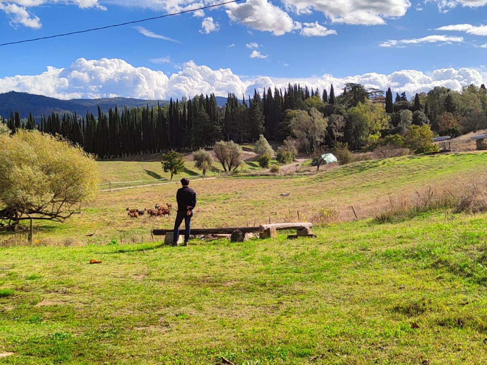 Agriturismo Podere Le Fornaci Греве-ин-Кьянти Экстерьер фото